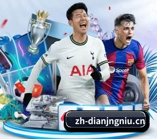 用内容积累长期价值 | dianjingniu